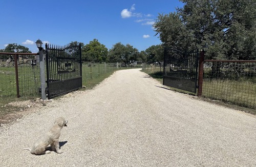 Williamson County House | Serene Texas Ranch Escape Animals, Oaks & Sunset Views