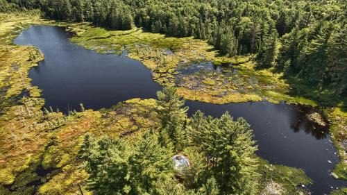 Glenfield House | Serenity Point Dome - Romantic Glamping Escape on a Private Pond