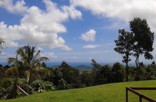 Pitahaya Bed & Breakfast | Serenity Rainforest Retreat