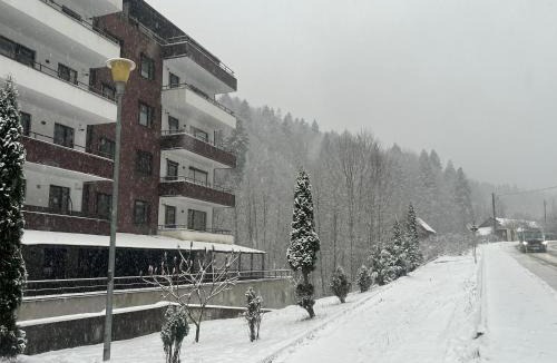 Sinaia Apartment | Serenity Suite