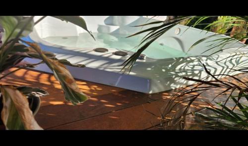 Ponunduva House | Serra do Japi