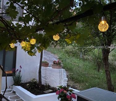 Samothrace Apartment | Sevastie’s home