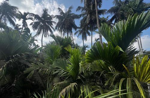 Diveagar Hotel | Seven Seas Beach Resort