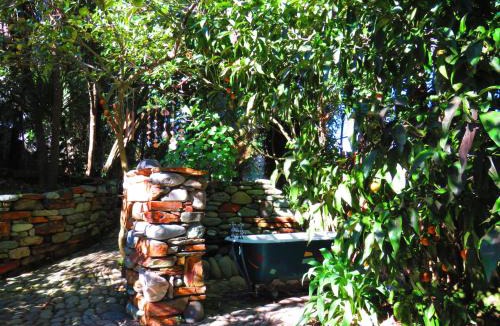Takaka Bed & Breakfast | Shady Rest Bed & Breakfast