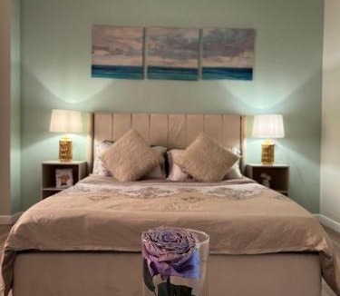 Sheikh Zayed City Apartment | Shaikh Zayed Hotel Apartment