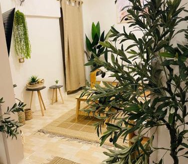 Siwa Hostel | Shali Home