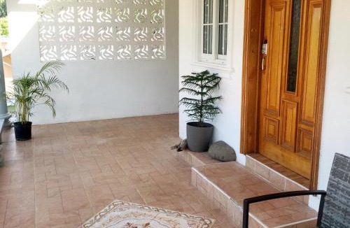 Salt Gut Apartment | Sham Suite