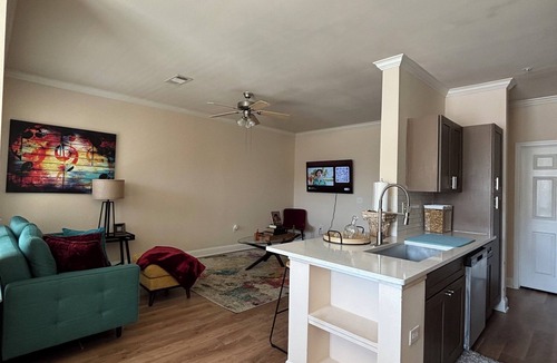 Houston Apartment | Shared 3B 2BR Condo 1B1BR 800m near NRG/Medical Center/Galleria/24h GYM PG