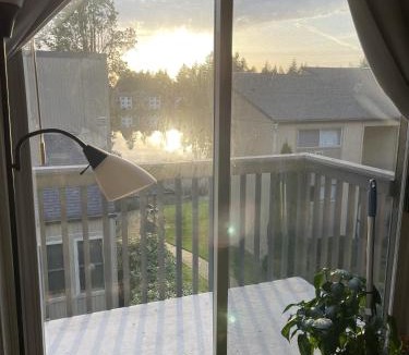 Federal Way House | Shared Space with Private room in Beautiful Lakefront Apartment