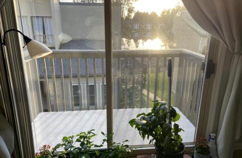 Federal Way House | Shared Space with Private room in Beautiful Lakefront Apartment