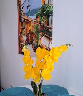 Babin do Apartment | Sheldon