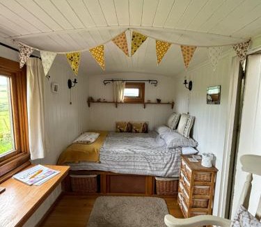 Easterside Other | Shepherd's Hut Bilsdale