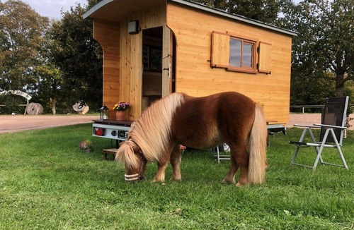 Altensteig Apartment | Shepherd's wagon on agricultural property with approx. 8 sqm for max. 3 persons