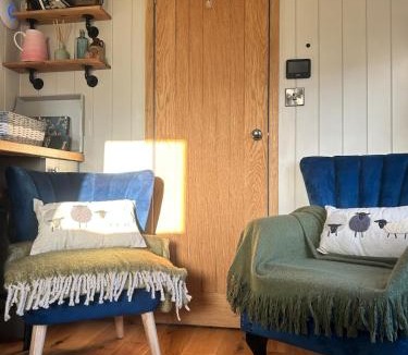 Hackness Ski Chalet | Shepherds hut, Eco, Log burner Hot tub NY moors