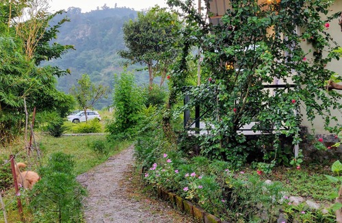 Haridwar Cabin | Shoolin Jungle Resort