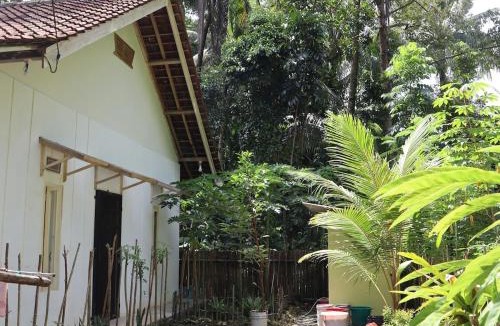 Cijulang House | SHYA House