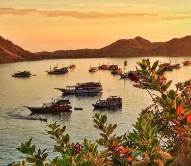 Komodo House | Siangel