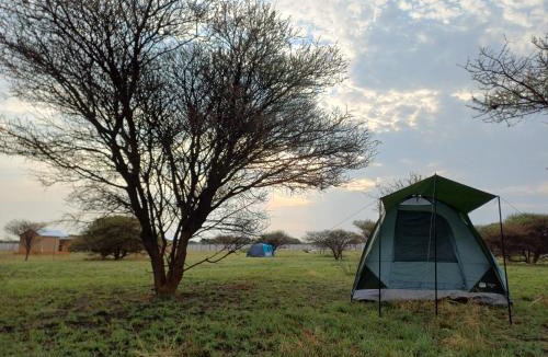 Mahikeng Other | Sibanda