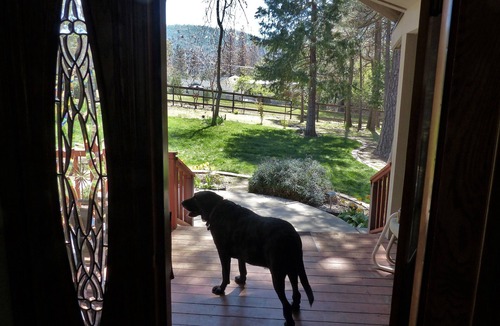 Oakhurst House | SIERRA ESCAPE! SPACIOUS COUNTRY HOUSE WITH POOL & SPA-20 MINUTES FROM YOSEMITE!
