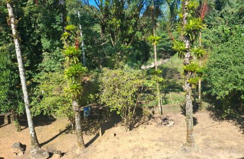 Joinville House | Siio do bambu