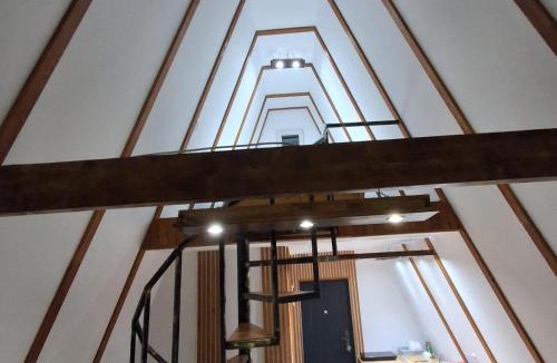 Albestii Paminteni House | Silent A-FRAME