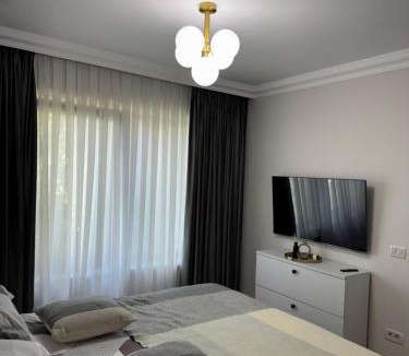 Radauti Apartment | Silver Apartment