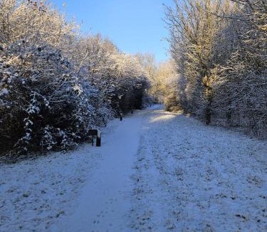 Denstone Apartment | Silver Birch Nabb Lane Woods Hot tub near Alton Towers