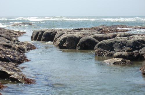 Yachats Hotel | Silver Surf Motel