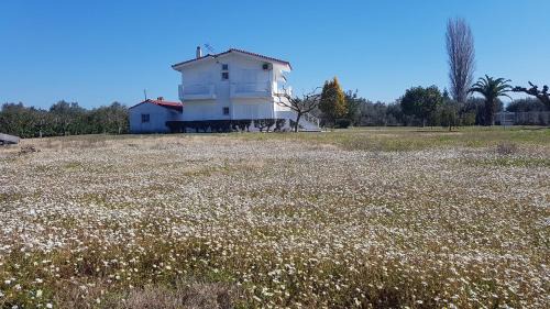 Stylida Villa | Silver villa Raches maisonette & Green