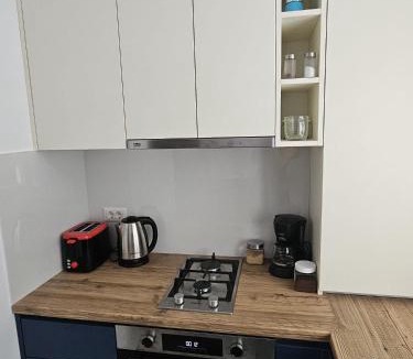 Radauti Apartment | Silvery Studio 22