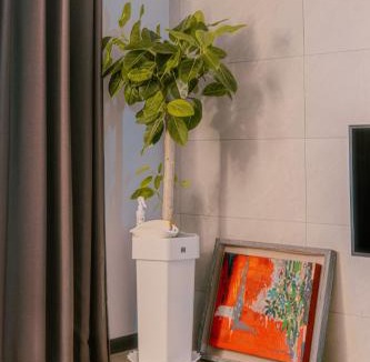Yeosu Apartment | Sim On Chae