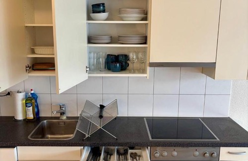 Mattenhof-Weissenbuhl Apartment | Simple & Comfy Apartment on Gartenstrasse
