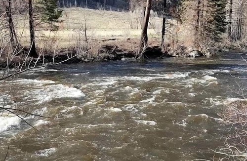 Bellvue House | Simple, Pet Friendly Country Cabin in Poudre Canyon, Colorado