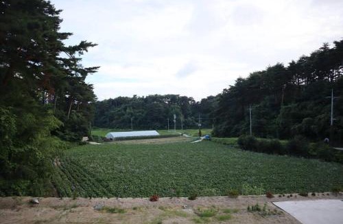 Gangneung House | Sinami83