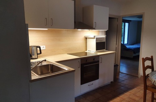 Saint-Aubin-le-Monial Apartment | Single-storey gîte close to fishing lake. Pets welcome!