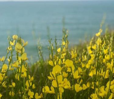Sant Pere de Ribes House | Sitges espectacular vista al mar