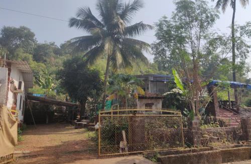 Mhsala Bed & Breakfast | Six seasons shrivardhan