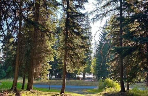 Tamarack Resort House | Ski, Boat, Bike, Hike! All-Season Mountain Access- Cozy Tamarack Timberhaus.