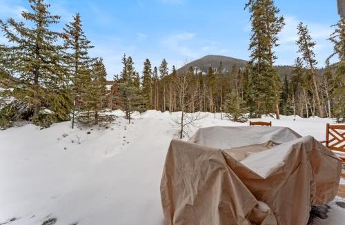 Keystone Apartment | Ski Tip #8716