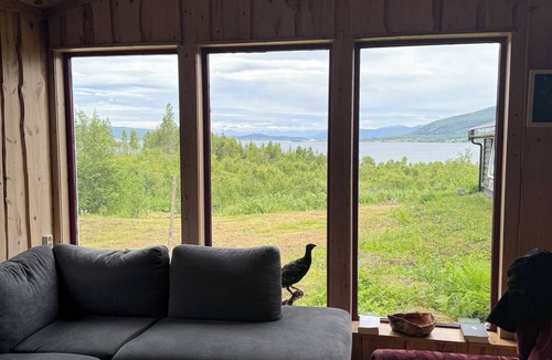 Lenvik Hostel | Skoghus