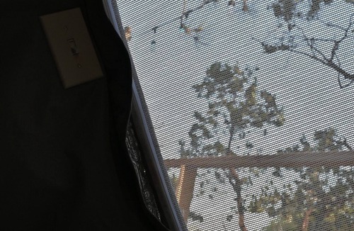 Dunlap Apartment | Sky Pod #2/Tree Tent 2