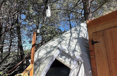 Dunlap Apartment | Sky Pod #2/Tree Tent 2