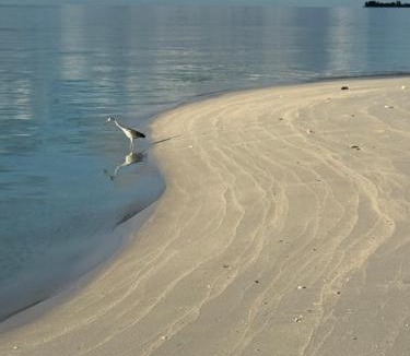 Omadhoo House | Skyinn omadhoo