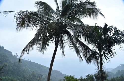 Elappara House | Skylark Homestay Panchalimedu