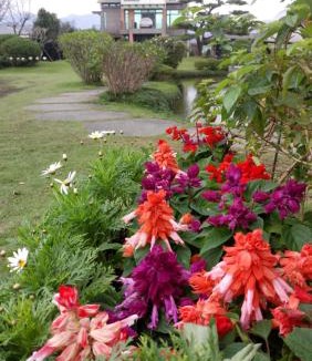 Yuanshan Bed & Breakfast | Skyline B&B