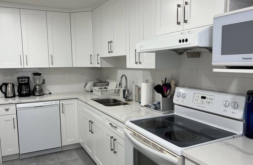 Port Coquitlam House | Skytrain Poco Beautifully Reno'd Ground Level Unit