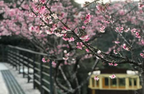 Wulai House | Sla Ulay