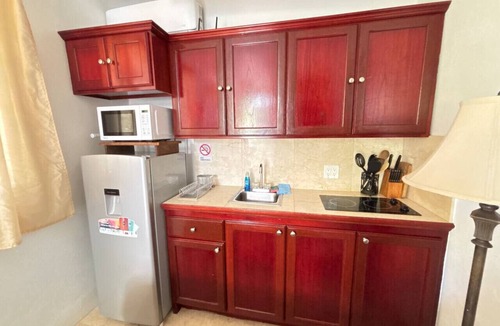 Estate Contant Resort | Sleek & Sunny Island Studio | Kitchenette