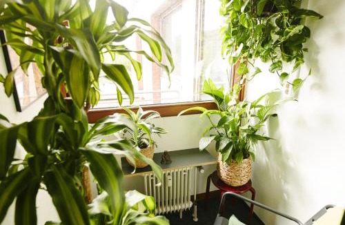 Innenstadtring Hostel | Sleep Station Hostel