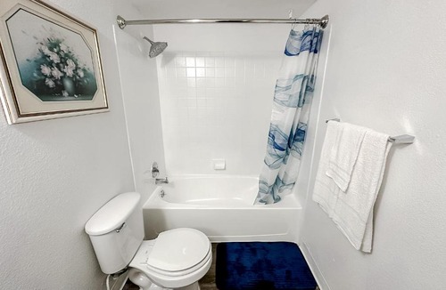 Windsor Park Apartment | Sleepover Modern 1BD 1BA Austin TX Apartments